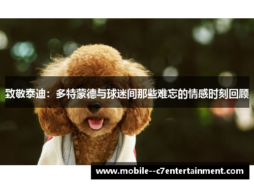 致敬泰迪：多特蒙德与球迷间那些难忘的情感时刻回顾