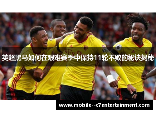英超黑马如何在艰难赛季中保持11轮不败的秘诀揭秘