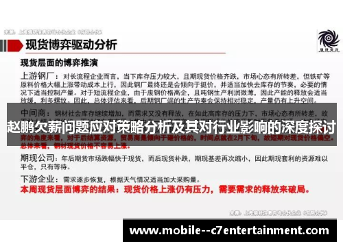 赵鹏欠薪问题应对策略分析及其对行业影响的深度探讨