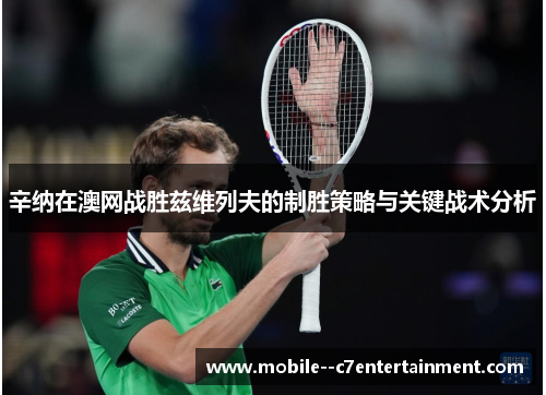 辛纳在澳网战胜兹维列夫的制胜策略与关键战术分析