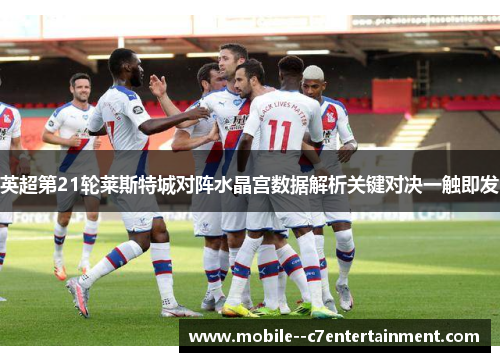 英超第21轮莱斯特城对阵水晶宫数据解析关键对决一触即发 英超第21轮莱斯特城对阵水晶宫数据解析关键对决一触即发