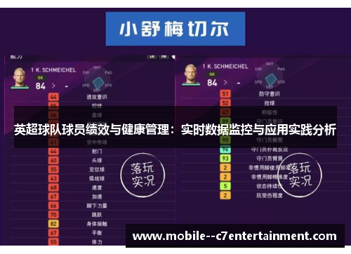 英超球队球员绩效与健康管理：实时数据监控与应用实践分析