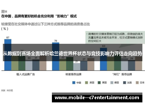 从数据到赛场全面解析哈兰德世界杯状态与竞技影响力评估走向趋势 从数据到赛场全面解析哈兰德世界杯状态与竞技影响力评估走向趋势