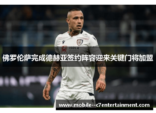 佛罗伦萨完成德赫亚签约阵容迎来关键门将加盟 佛罗伦萨完成德赫亚签约阵容迎来关键门将加盟