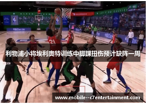 利物浦小将埃利奥特训练中脚踝扭伤预计缺阵一周 利物浦小将埃利奥特训练中脚踝扭伤预计缺阵一周